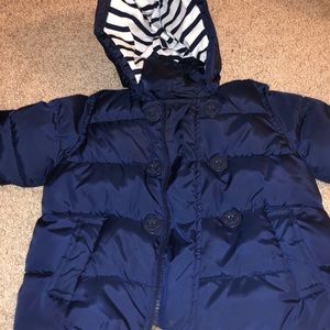 Navy GAP Blue Toddler Puffy Coat Sz:18-24mos